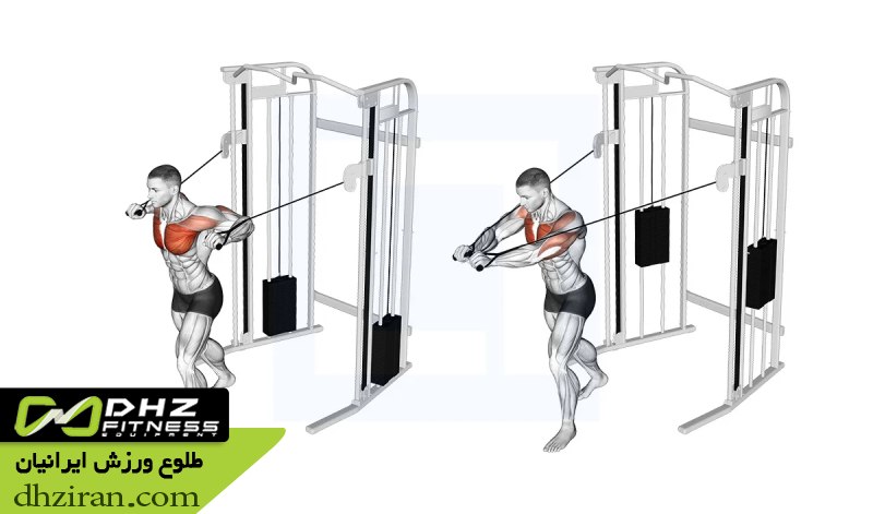 پرس سینه با سیم کش ایستاده (Standing Cable Chest Press): 